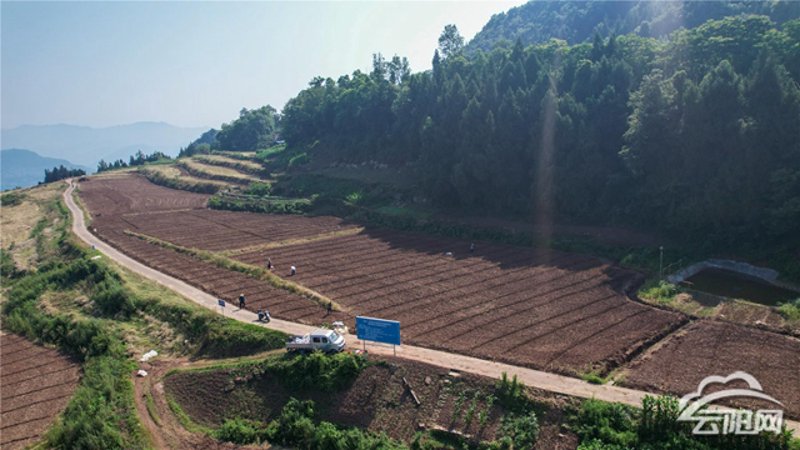 云阳农业网