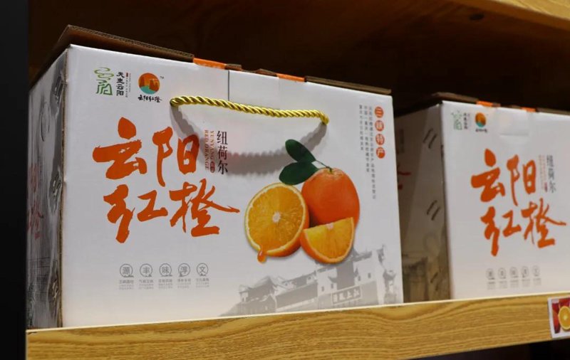 云阳县农业信息网:数字化引领乡村振兴