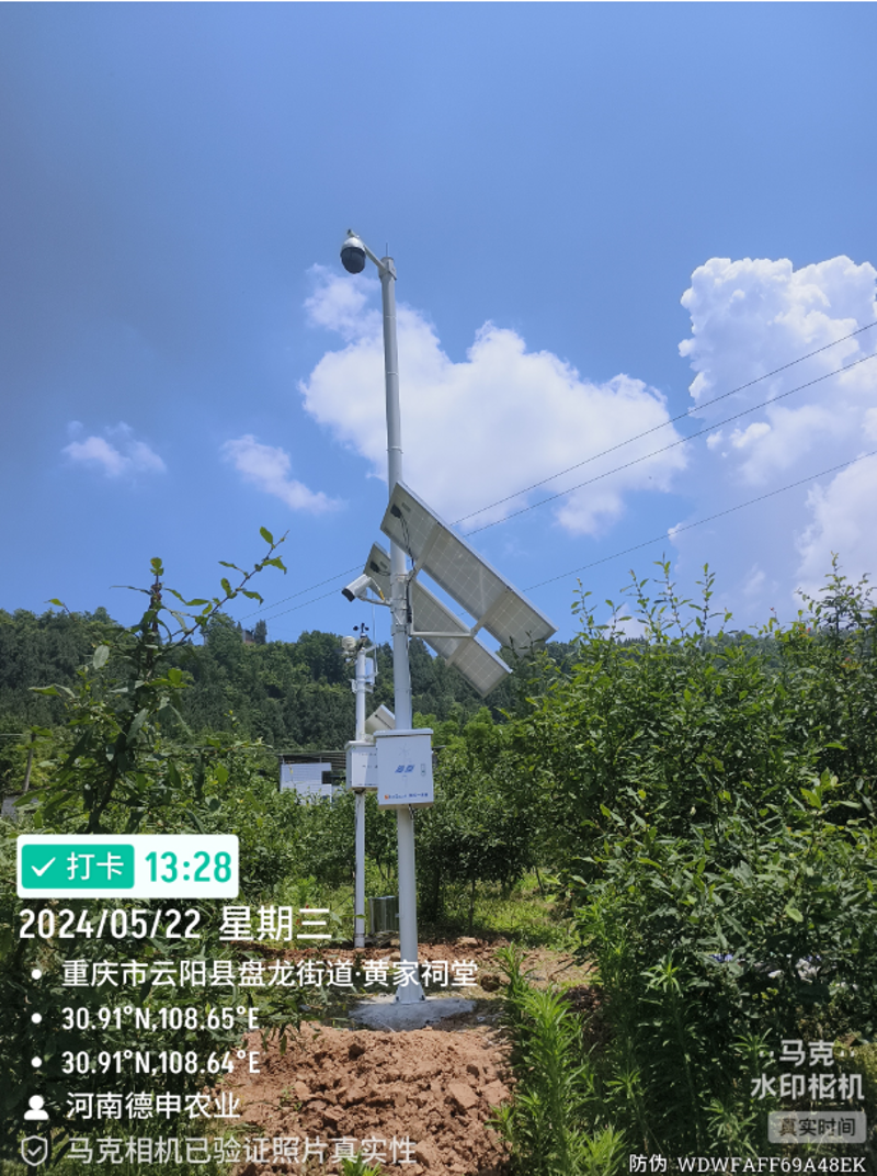 云阳农业信息:智慧农业的新时代
