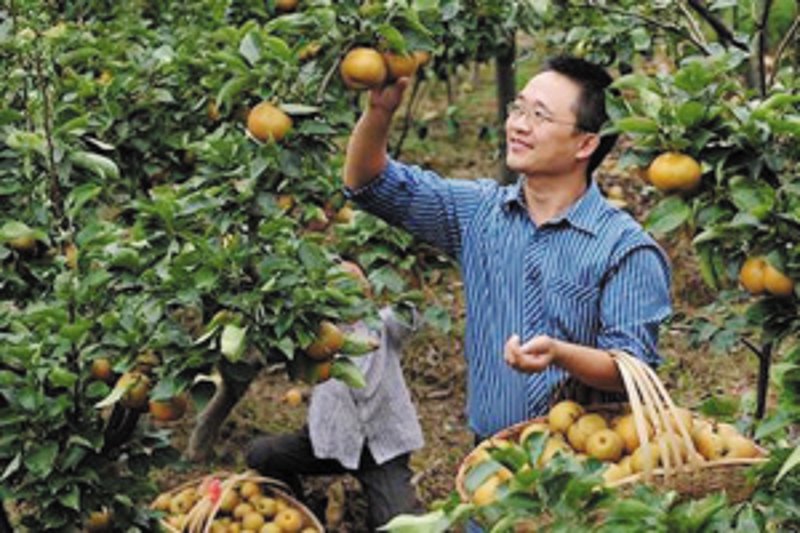 云阳惠农新举措：农民增收有了更多可能
